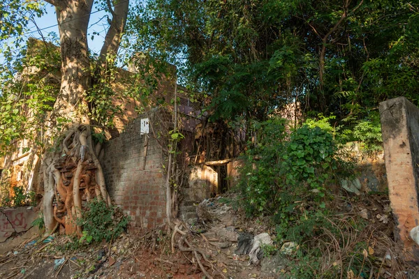 Antiguas Paredes Abandonadas Ruinas Edificio Cubierto Árboles Tropicales Ciudad Pondicherry — Foto de Stock