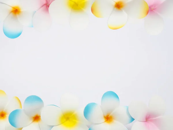 Conjunto Coloridas Flores Plumería Sobre Fondo Blanco Para Primavera Fondo —  Fotos de Stock