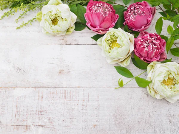Fondo Floral Primavera Ramo Flores Loto Rosa Blanco Con Hojas —  Fotos de Stock