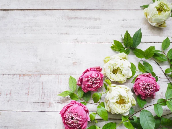 Blümchenfrühling Strauss Aus Rosa Und Weißen Lotusblumen Mit Grünen Blättern — Stockfoto