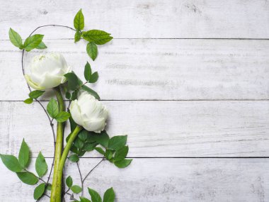 Çiçek bahar arka plan. Buket beyaz lotus çiçek beyaz vintage ahşap zemin üzerine yeşil yaprakları ile. 