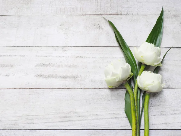 Blümchenfrühling Strauß Weißer Lotusblumen Mit Grünen Blättern Auf Weißem Vintage — Stockfoto