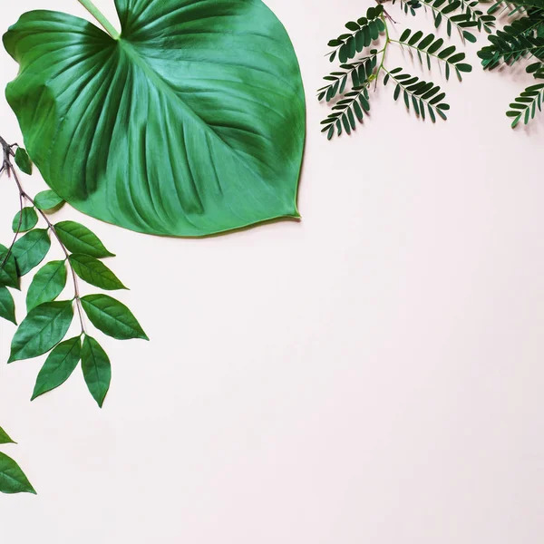 Tropische Grüne Blätter Pflanzen Auf Pastellrosa Hintergrund Mit Kopierraum Jahrgangsstil — Stockfoto