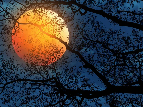 Ramas Árbol Silueta Sobre Cielo Dramático Azul Oscuro Luna Roja —  Fotos de Stock