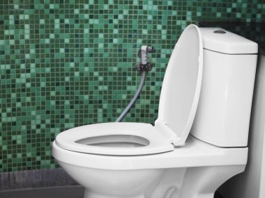 Beyaz tuvalet kase yeşil mozaik duvar karoları banyoda karşı kapatın.