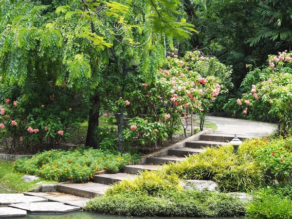 Hermoso Parque Verde Primavera Verano Con Pasarela Escalones Ciudad Fondo — Foto de Stock