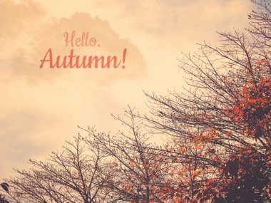 Kuru dallar ve gökyüzü ile Merhaba sonbahar metin üzerinde turuncu yaprak. Vintage filtre efekti.