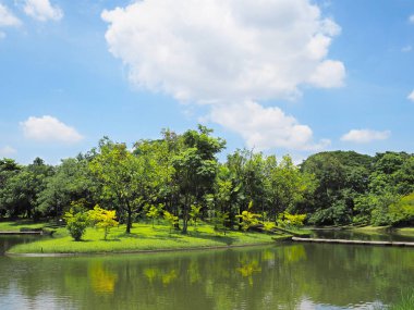 Güzel park manzara. Tropik ağaç göl mavi gökyüzü Kraliçe Sirikit Botanik Bahçesi, Bangkok, Tayland, Thailand, karşı çevrili yeşil çim.