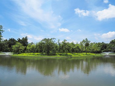 Güzel park manzara. Tropik ağaç göl mavi gökyüzü Kraliçe Sirikit Botanik Bahçesi, Bangkok, Tayland, Thailand, karşı çevrili yeşil çim.