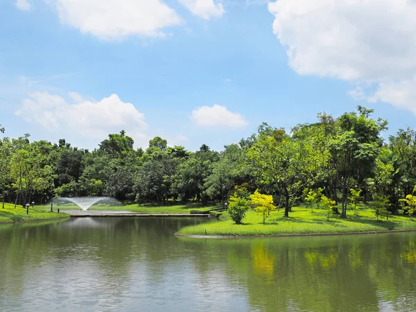 美しい公園の風景 青空クイーン シリキット植物園 バンコク タイで湖に囲まれた熱帯の木と緑の芝生 — ストック写真