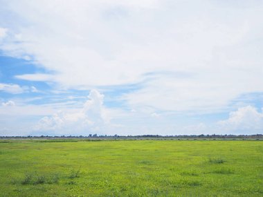 Yeşil çim alan ve beyaz çit ile mavi gökyüzü. Doğal arka plan.