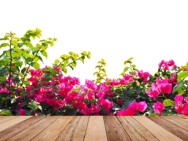 테이블 분홍색 부겐빌레아 배경에 화창한 나뭇잎 몽타주 스타일 제품을 하려면 — 스톡 사진
