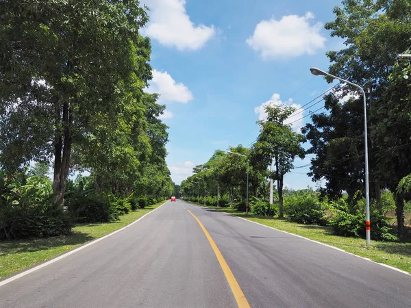 Camino Asfalto Con Árboles Verdes Lado Campo Contra Cielo Azul — Foto de Stock