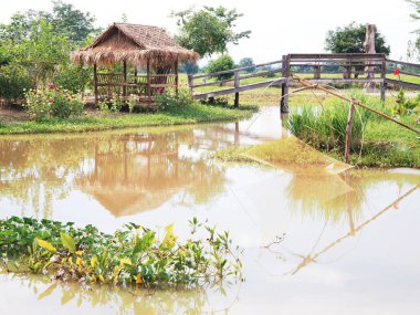 Bambu kulübe ve nehirde balık tuzak ile ahşap köprü. Kırsal Tayland geleneksel sahnede. Taylandlı çiftçi kültür.