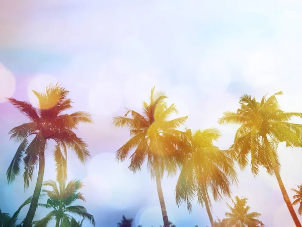 Palm Trees Blue Sky Summer Beach Vintage Stye Filter Effect — Stock Photo, Image