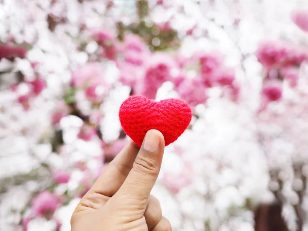 Mulher Selfie Mão Segurando Almofada Forma Coração Sobre Rosa Branco — Fotografia de Stock
