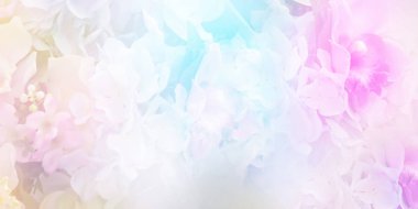 Çiçek pastel arka plan kopya alanı ile. Buket çiçek düğün ya da Sevgililer günü kartı için yumuşak tarzında. Afiş boyutu.