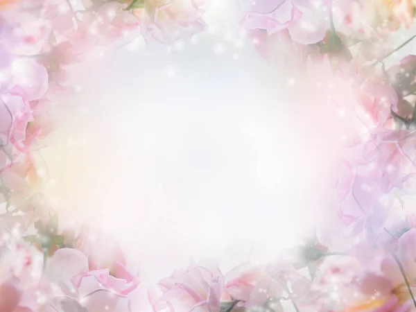 Kwiatowy Pastelowe Tło Miejsca Kopii Różowe Kwiaty Róży Stylu Soft — Zdjęcie stockowe