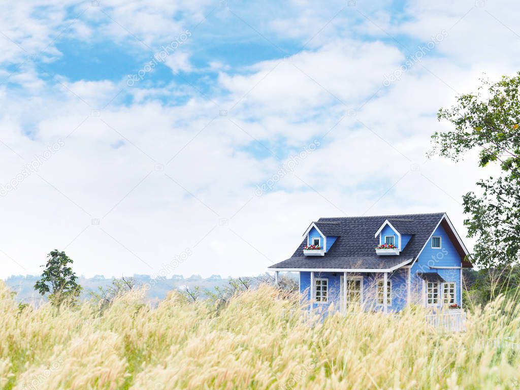 Blue summer country house in the wild grass field 