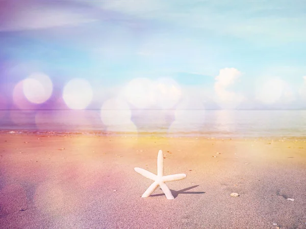 Vit liten sjöstjärna på stranden. — Stockfoto