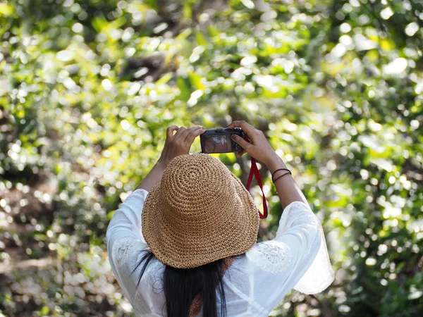Žena držící foťák fotografování na letní zelené pro — Stock fotografie