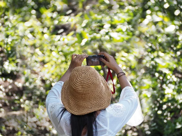 Woman holding camera shooting photograph at the summer green for — 스톡 사진