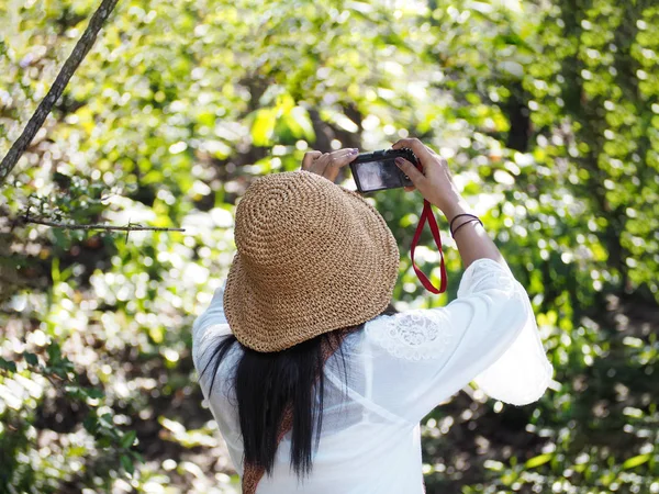 Mujer sosteniendo la cámara de fotografía de rodaje en el verano verde para — Foto de Stock