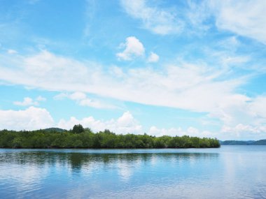 Tropikal adada yeşil sahil ve mavi gökyüzü
