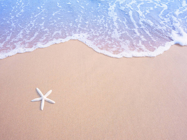 White small starfish on sand and pastel water wave, vintage filt