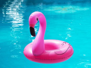 Yüzme havuzunda yüzen Pembe Flamingo 