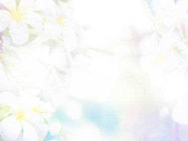 Çiçek pastel arka plan kopya alanı ile. 