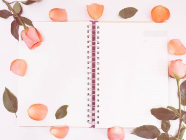 beyaz arka plan üzerinde not defteri üzerinde yeşil yaprakları ile gül.