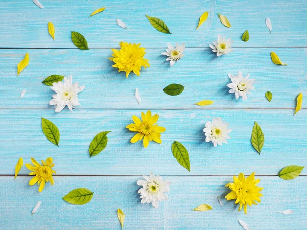 Cerca de flores de crisantemo blanco y amarillo en madera azul . —  Fotos de Stock