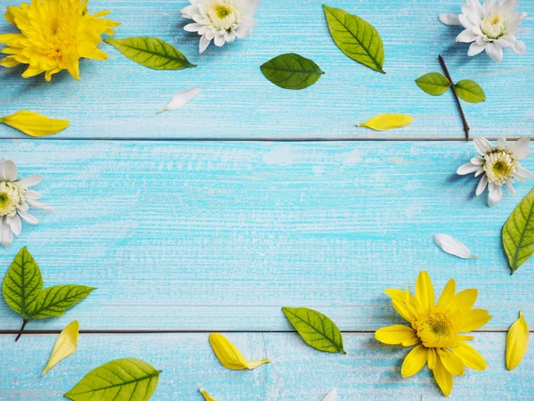 Cerca de flores de crisantemo blanco y amarillo en madera azul . —  Fotos de Stock