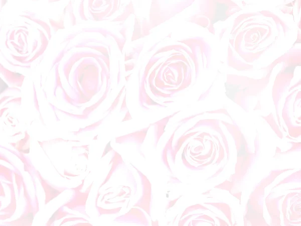 Floral Abstracte Achtergrond Roze Roos Bloemen Boeket Voor Valentines Bruiloft — Stockfoto