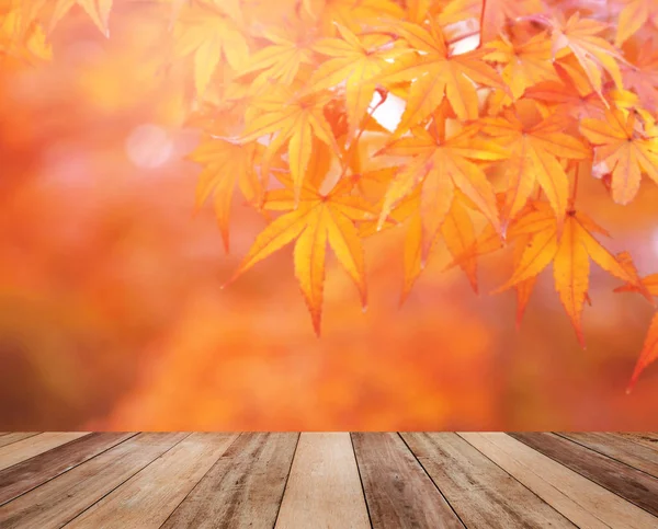 秋にぼやけたオレンジ色のカエデの葉の上に木製のテーブルトップ. — ストック写真