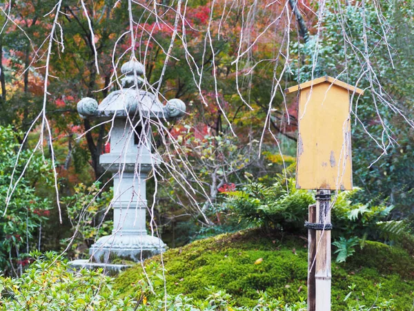 blank wooden sign and stone lantern in Japanese autumn park back