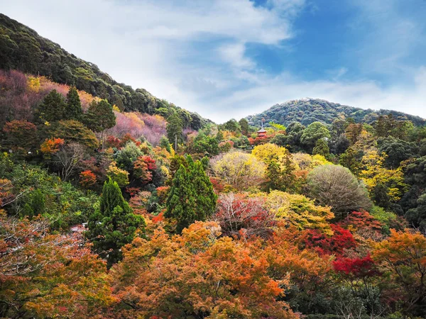Ιαπωνία φθινόπωρο και πολύχρωμα φύλλα στο φόντο του βουνού — Φωτογραφία Αρχείου