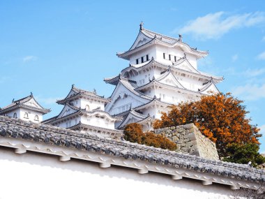 Sonbahar sezonunda Himeji Kalesi, Japonya.