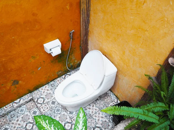 Restroom interior with white toilet bowl. — Stock Photo, Image