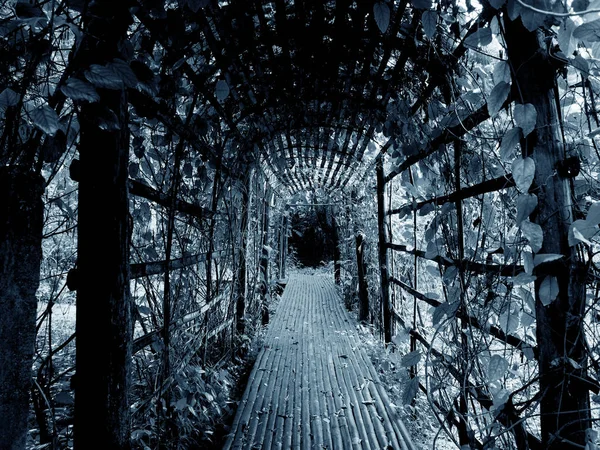 Chemin dans le jardin mystère sombre pour fond d'Halloween . — Photo