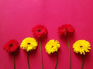 Kırmızı ve sarı Gerbera çiçekli tasarım.