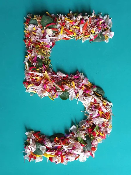 Pétalos Flores Que Forman Número Cinco Fondo Verde —  Fotos de Stock