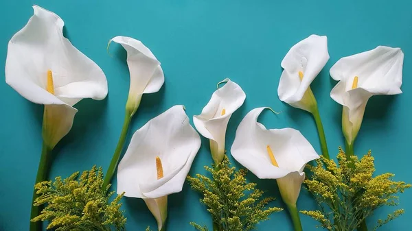 white calla flowers in a floral bouquet and green background
