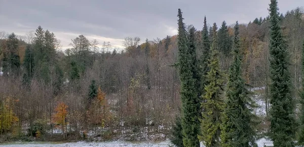 Landschap Met Gematigde Bosbomen Het Winterseizoen Chiemsee Duitsland — Stockfoto