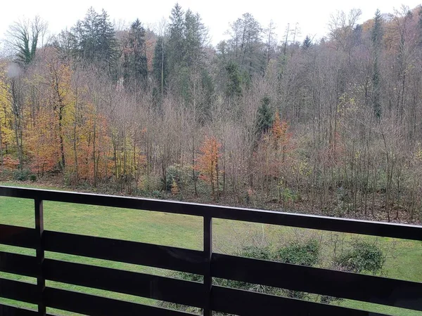 Gematigde Bosbomen Het Najaar Chiemsee Duitsland Uitzicht Vanaf Een Terras — Stockfoto