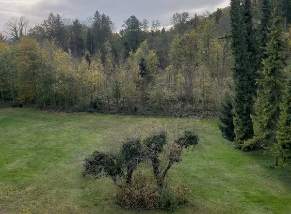 Paisagem Com Árvores Florestais Temperadas Temporada Outono Chiemsee Alemanha — Fotografia de Stock