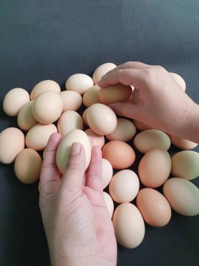 Yemek hazırlamak için organik yumurta seçen birinin elleri.