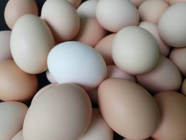 Kahverengi renk, arkaplan ve dokudan oluşan taze organik yumurta yığını.