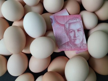 Yumurta tüketim ve üretim maliyeti, Şili banknotu 5000 peso ve organik tavuk yumurtası yığını
